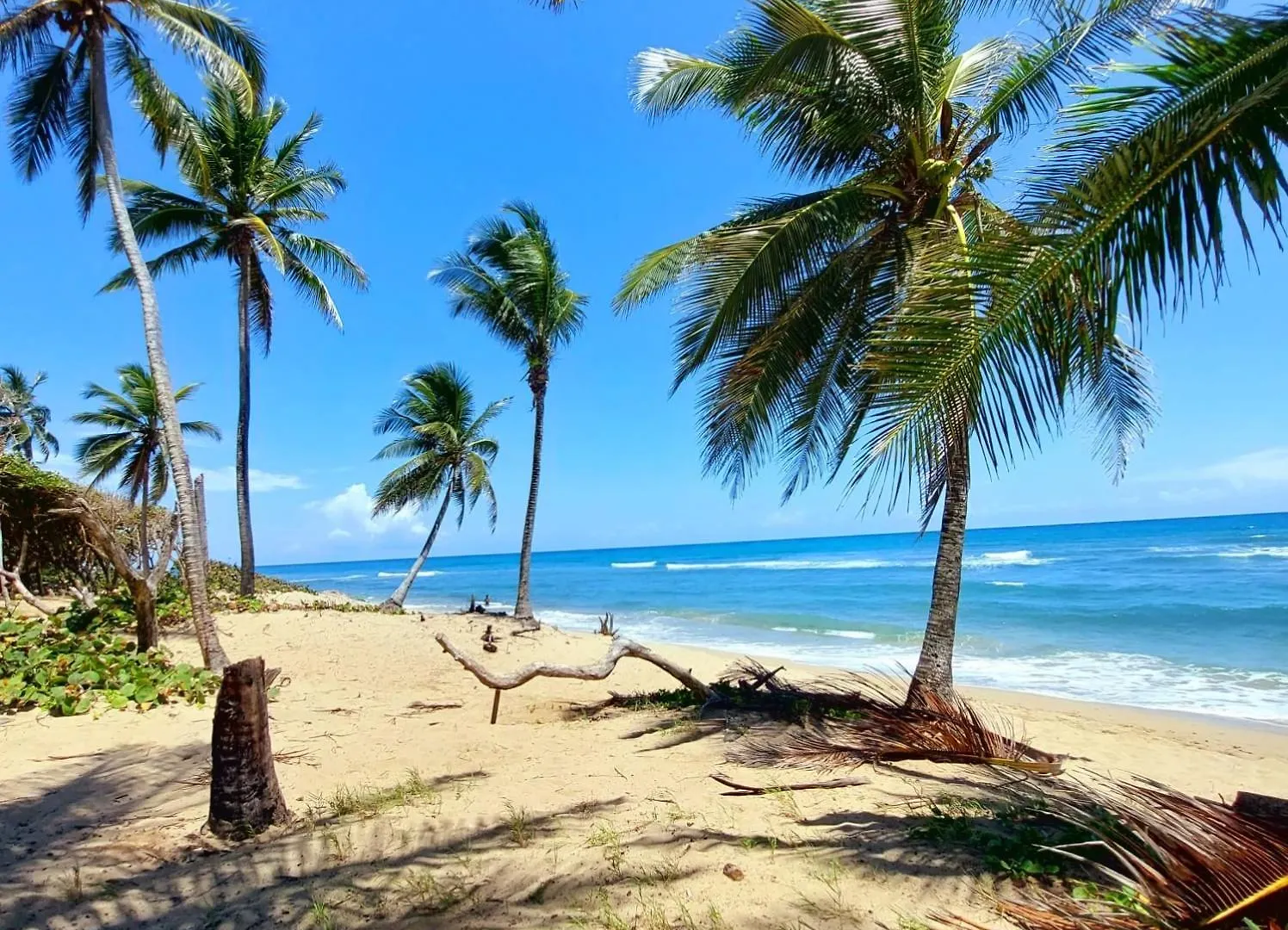 Apartment Villa Ava Encuentro- Accommodation In Villa Cabarete